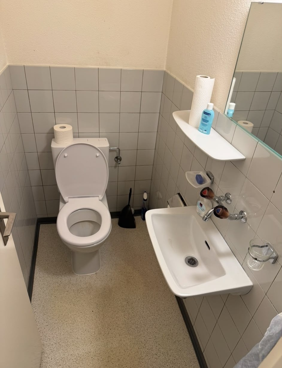 WC vorher – alter Zustand